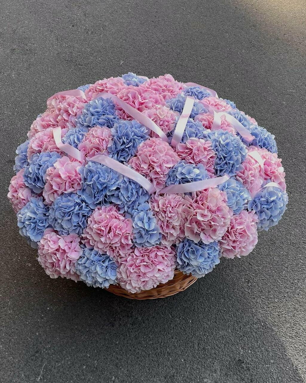 51 гортензия