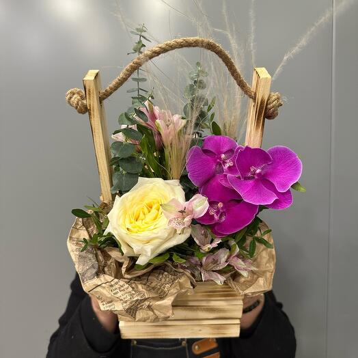 A box with an orchid