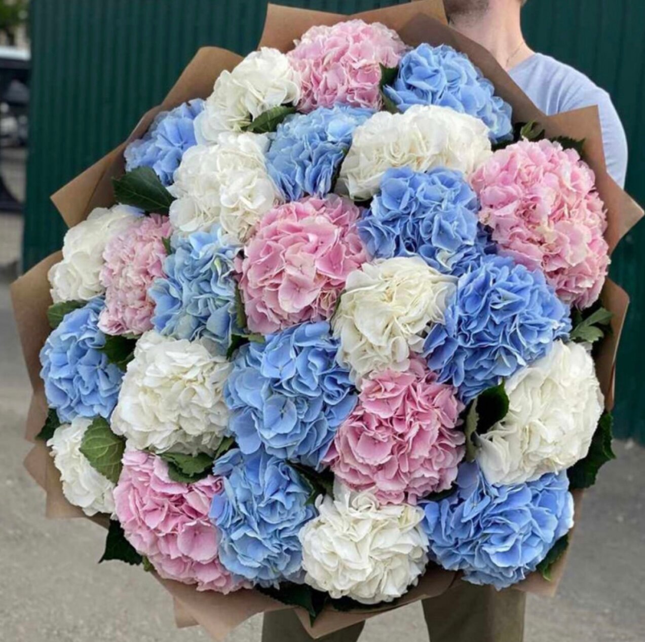 25 гортензия