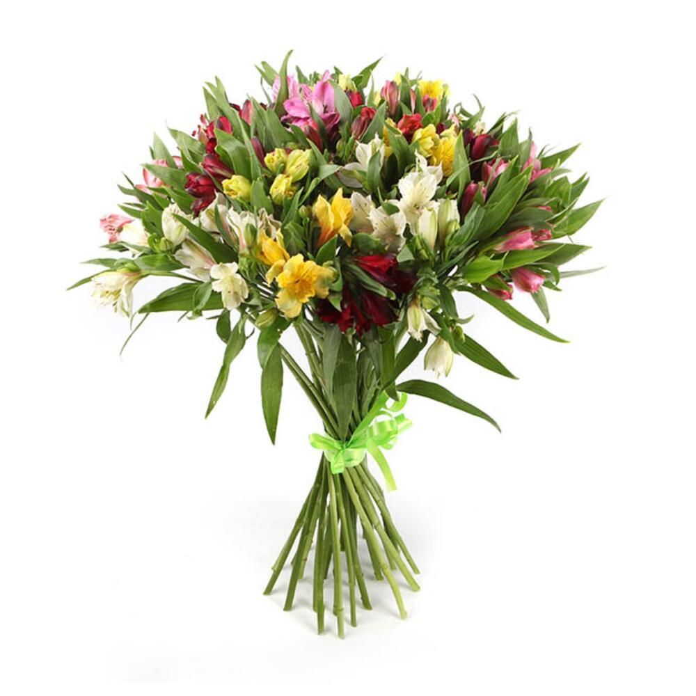 31 альстромерии