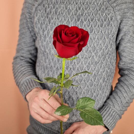 Роза Красная Премиум(Эквадор) 60см, ( стоимость указана за 3 шт.)