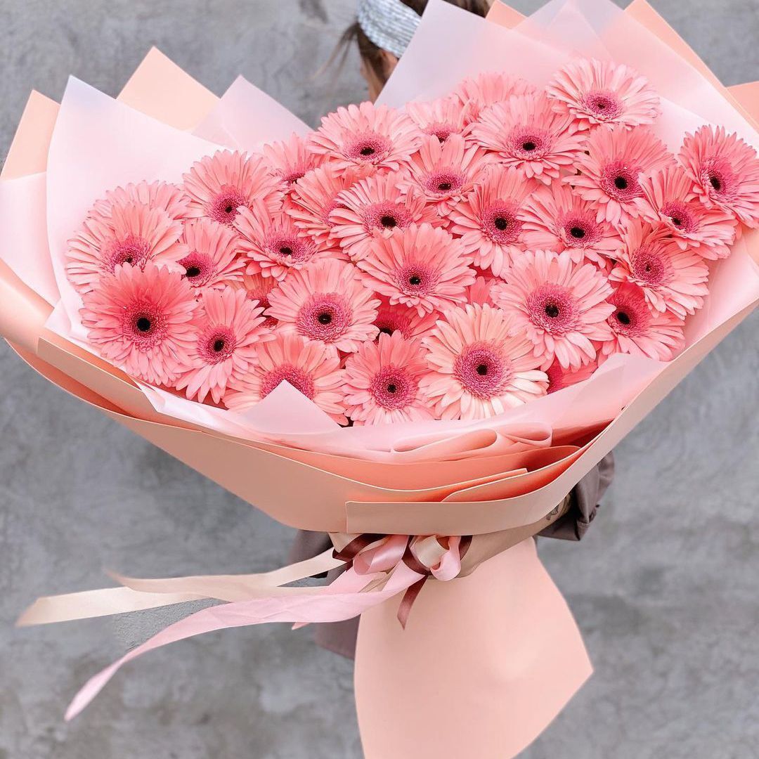 31 gerberas