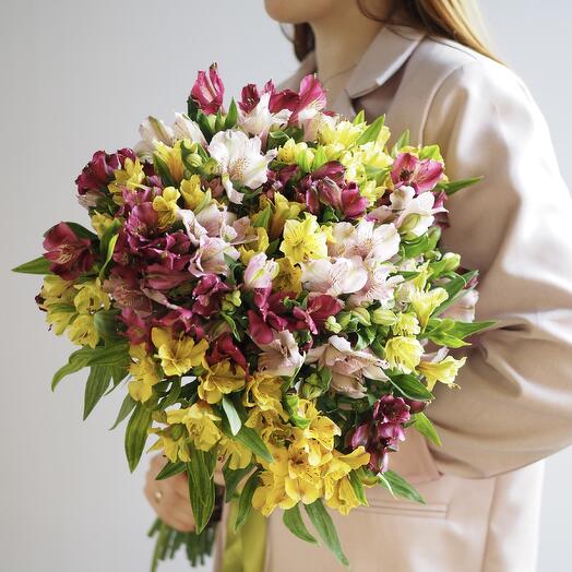 TOP price bright recognition from alstromeria