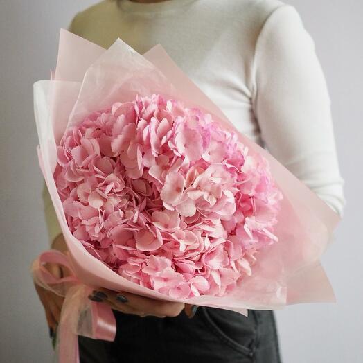 Pink dawn with hydrangea