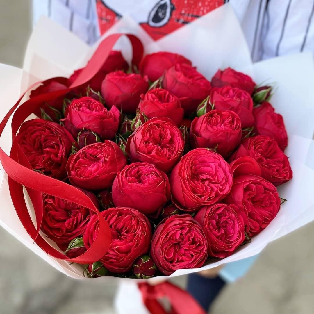 25 пионовидных роз