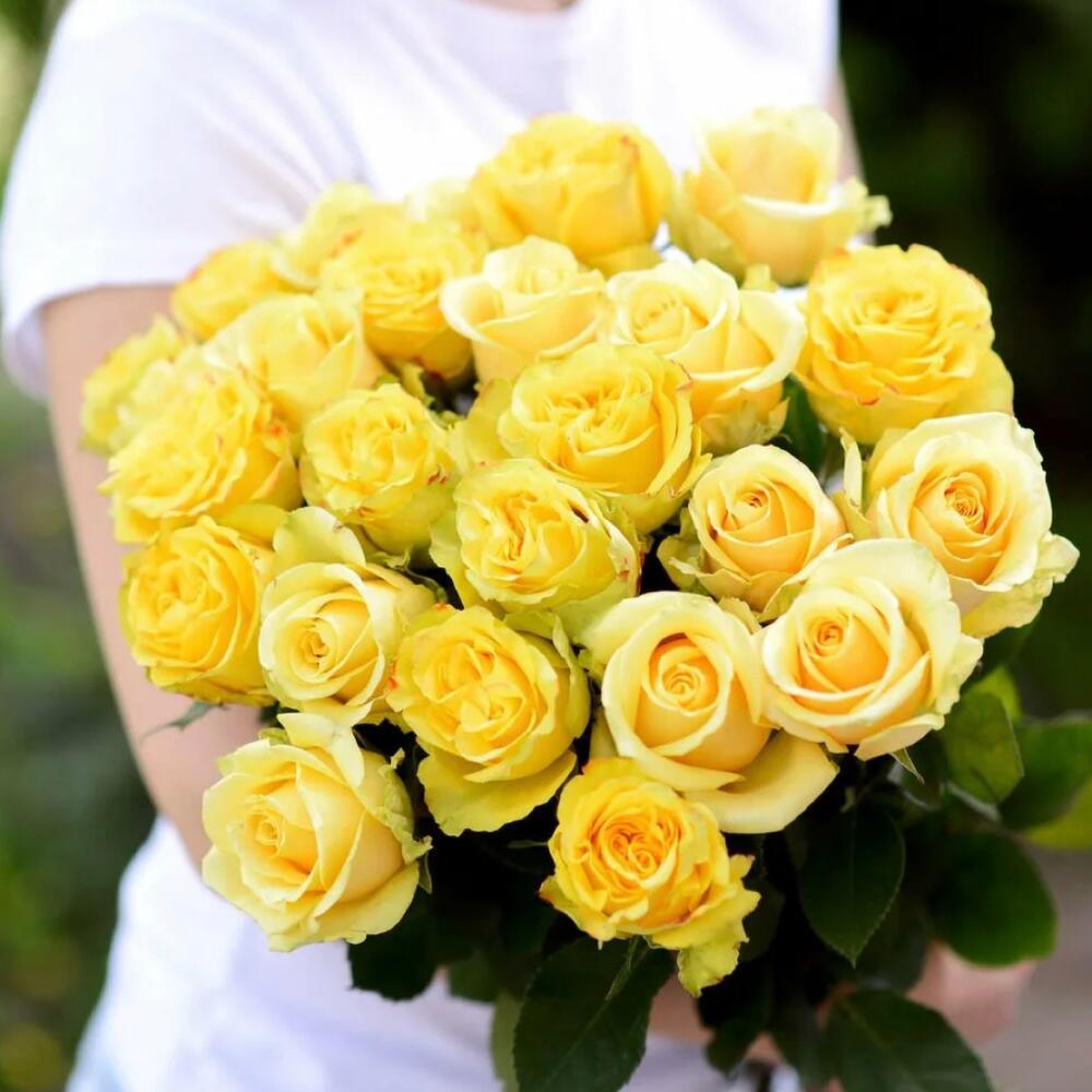 25 желтых роз