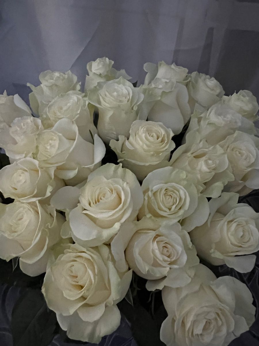 5 white roses
