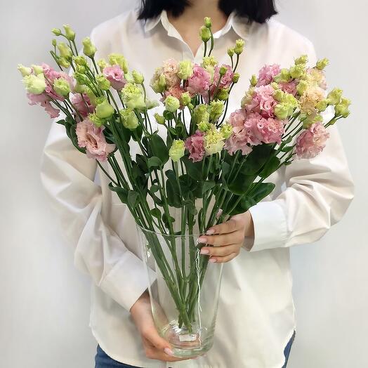 Pink eastoma in a vase