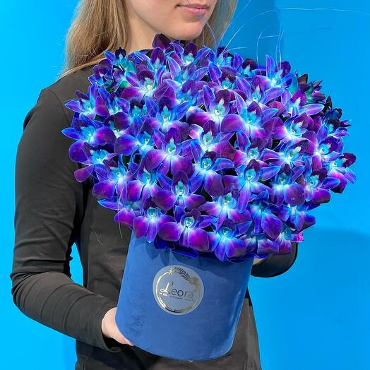 Flowers in the box. Orchids Cosmos. Composition 609. Leoraflowers