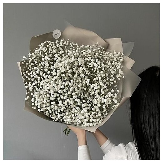 9 gypsophila