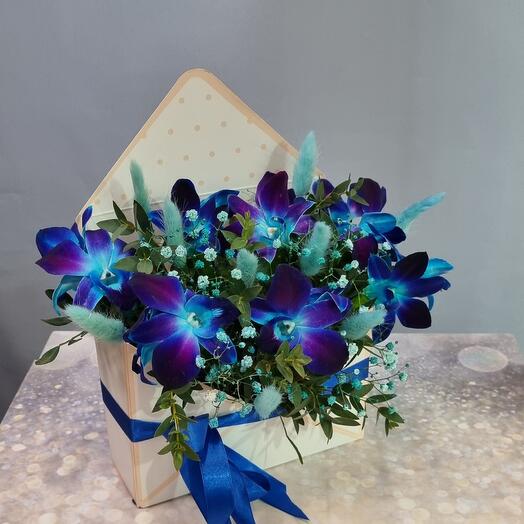 Orchid Cosmos in a birthday envelope